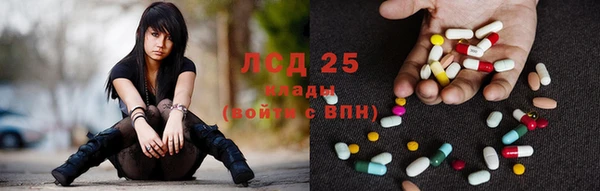 стафф Новокубанск