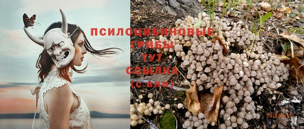 герыч Новозыбков