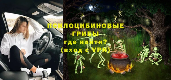 стафф Новокубанск