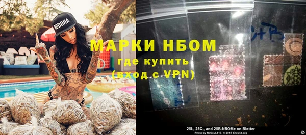 стафф Новокубанск