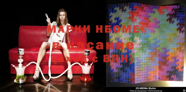 стафф Новокубанск