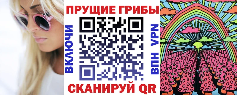 Псилоцибиновые грибы Psilocybine cubensis  купить наркотики сайты  Невинномысск 