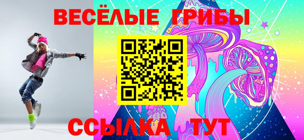 Псилоцибиновые грибы мицелий Невинномысск